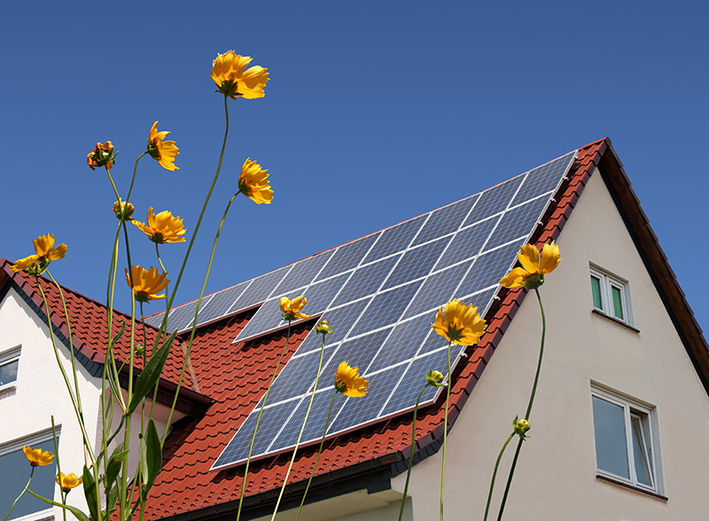 Projeto de energia solar no bairro Vila Guilherme, São Paulo/SP